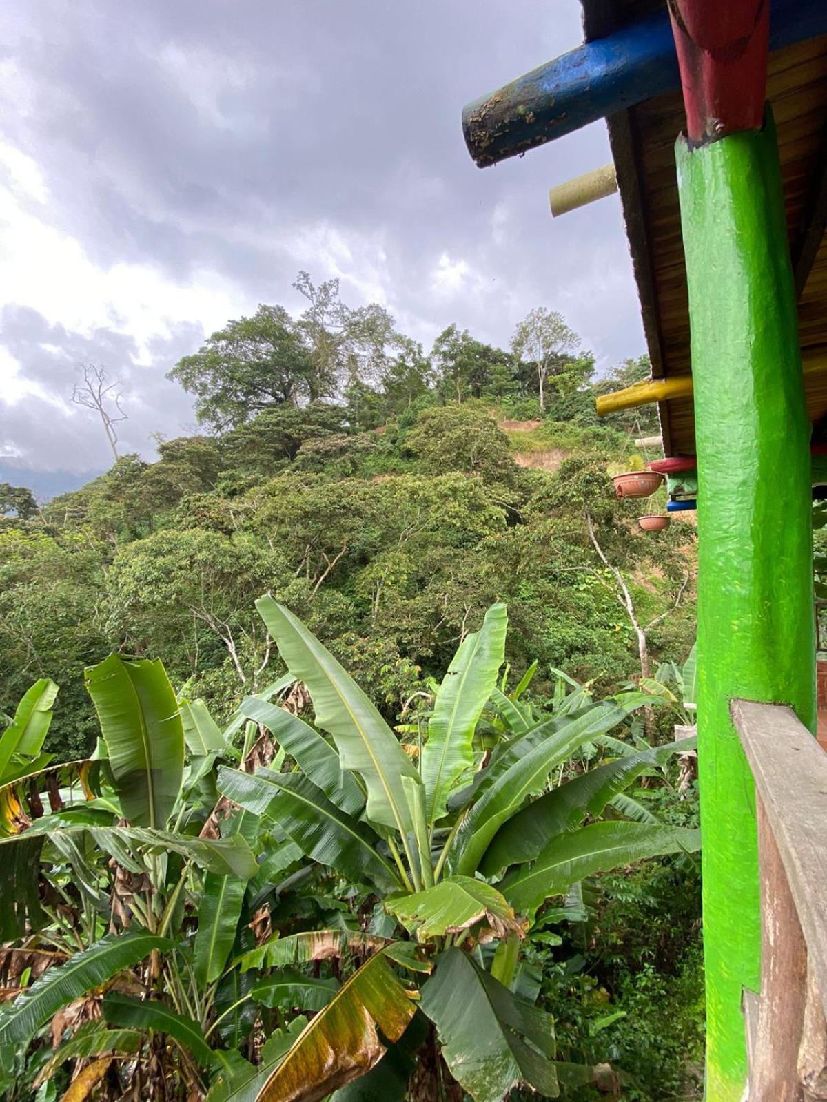 Hotel El Santuario Minca Eksteriør bilde